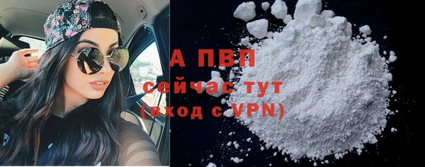ECSTASY Волоколамск