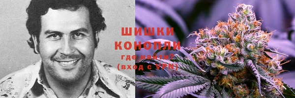 ECSTASY Волоколамск