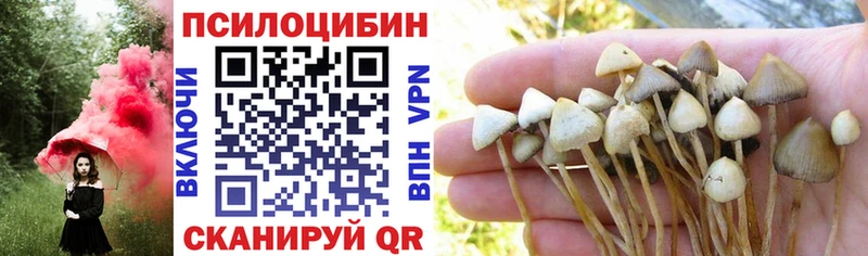 цены наркотик Калтан Псилоцибиновые грибы прущие грибы